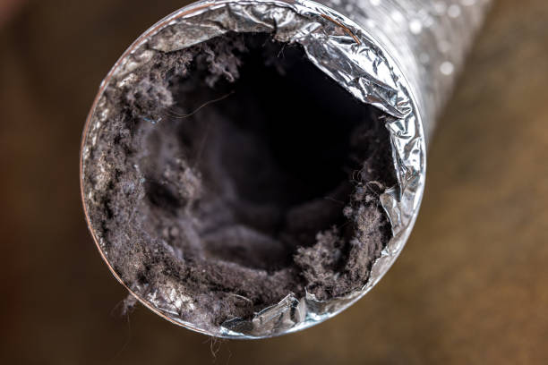 Best Affordable Duct Cleaning Services  in Bayou La Batre, AL